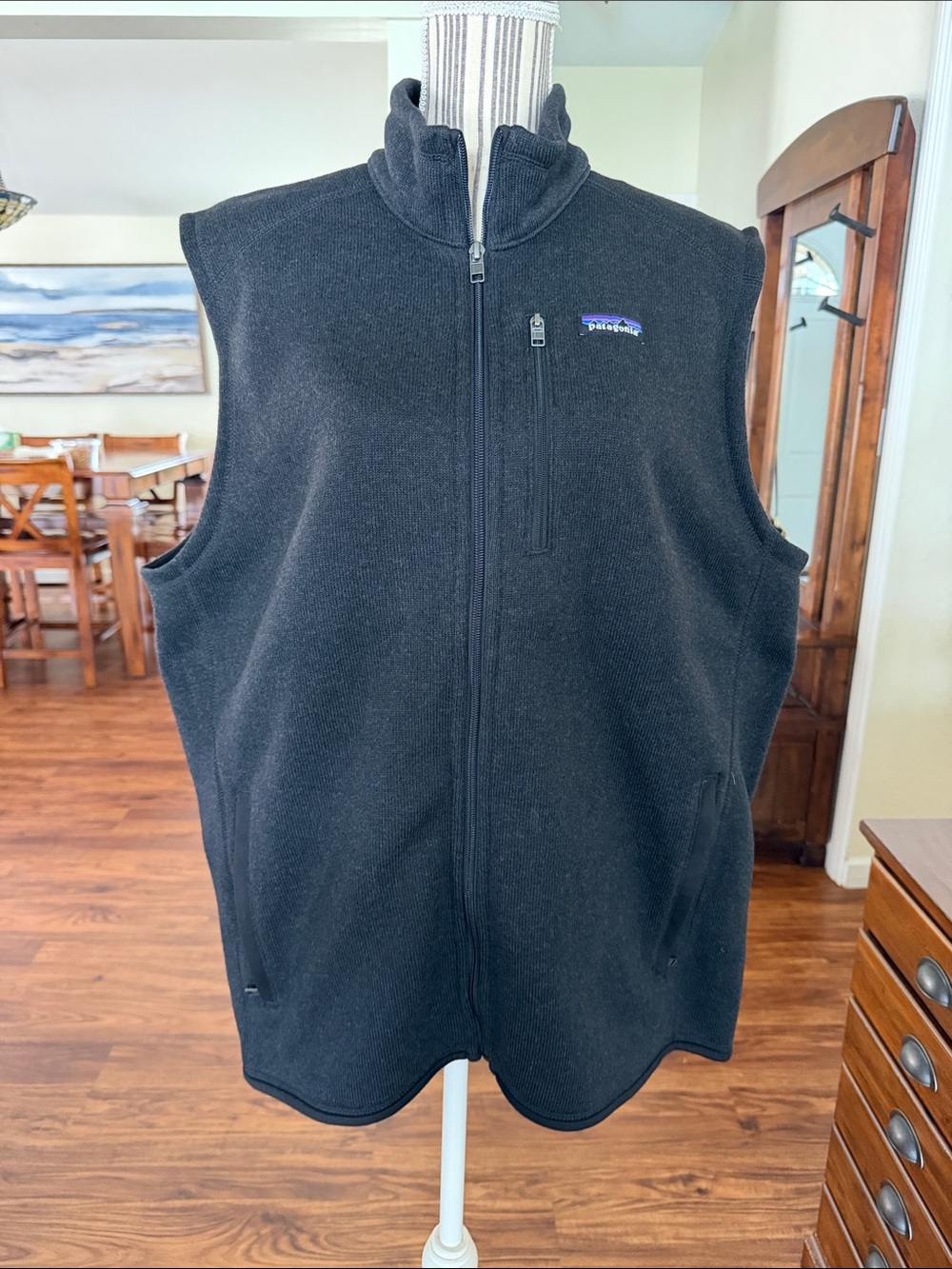 Patagonia Black Fleece Full-Zip Vest